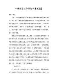 中班教学工作计划表.doc