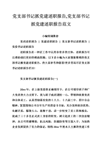 党支部书记抓党建述职报告,党支部书记抓党建述职报告范文