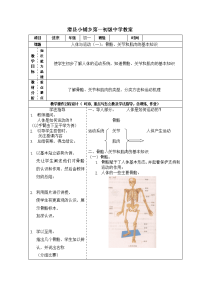 人教版体育与健康《人体与运动》word教案