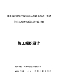 职业学院体育场旁路面改造、新建体育场及砖路改混凝土路项目施工组织设计.doc