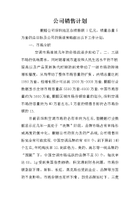 公司销售计划