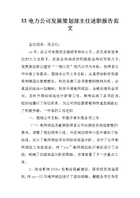 xx电力公司发展策划部主任述职报告范文