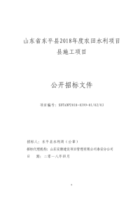 山东东平2018农田水利项目施工项目