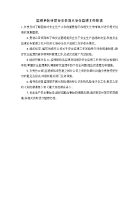 监理单位分管安全负责人安全监理工作职责