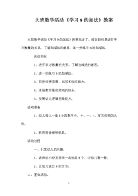 大班数学活动《学习9的加法》教案