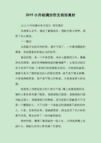 2019小升初满分作文有你真好.docx