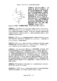 中职生英语语法(不全)