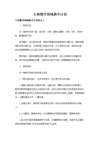  小班数学领域教学计划.doc