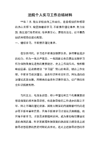 法院个人实习工作总结材料