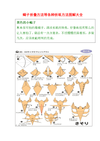 蝎子折叠方法等各种折纸方法图解大全 绝对经典