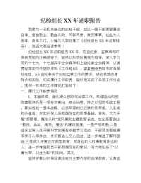 纪检组长xx年述职报告.doc