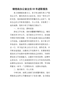 镇党政办公室主任某年述职报告