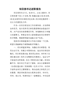 项目部书记的述职报告