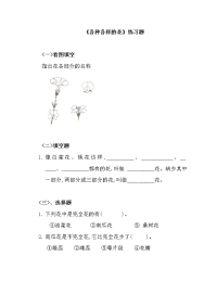 小学科学《各种各样的花》练习题