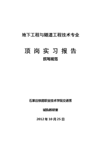 地下工程与隧道工程技术专业顶岗实习报告撰写规范2