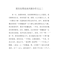 那次玩得真高兴满分作文之二.docx