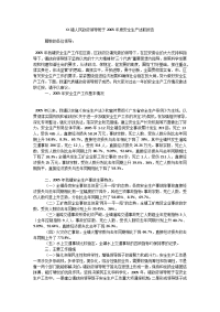 XX镇人民政府领导班子2005年度安全生产述职报告.doc