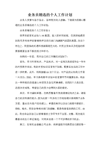 业务员工作计划 业务员工作计划大全 业务员精选的个人工作计划