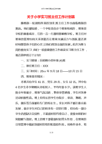 关于小学实习班主任工作计划表