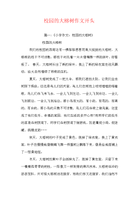 校园的大榕树作文开头