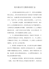 初中满分作文精彩语段汇总.docx