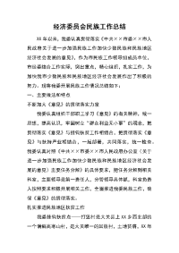 经济委员会民族工作总结