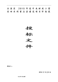 农田水利项目技术标范本