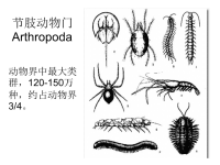 (生物学)现代生物