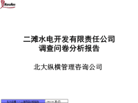 某水电开发公司调查问卷分析报告.pptx