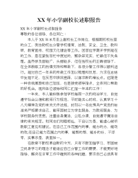 xx年小学副校长述职报告