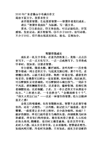 2010年智慧伴我成长广东省佛山中考满分作文.doc
