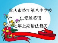 仁爱版七年级英语语法复习 (2)