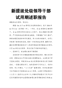 新提拔处级领导干部试用期述职报告