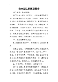 安全副队长的述职报告