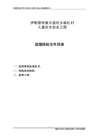 伊犁察布查尔县坎乡麻扎村人畜饮水安全工程监理投标文件