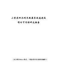 小型农田水利末级渠系改造建设项目可行性研究报告