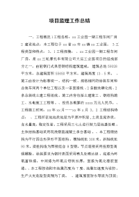 2019项目监理工作总结