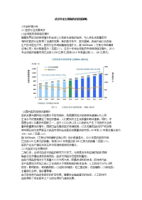 武汉华龙生物制药的营销策略