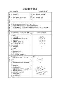 小学体育投掷教案