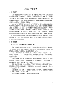 CASS污水处理工艺简介(工艺比较和详细流程图)