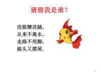 小学美术海底世界ppt课件