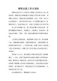 销售总监工作计划表