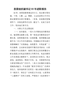 县委组织副书记某年述职报告