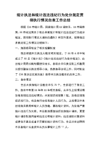 统计执法和统计违法违纪行为处分规定贯彻执行情况自查工作总结