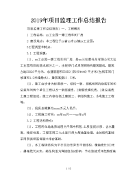 2019年项目监理工作总结报告