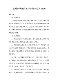 农村小学教师工作计划表范文2020.doc