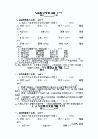 初中语文中考复习题