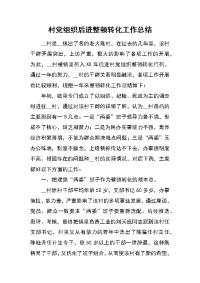 村党组织后进整顿转化工作总结