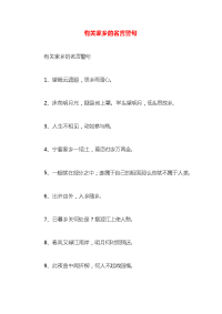 有关家乡的名言警句x