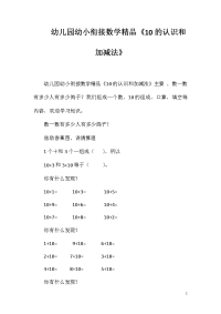 幼儿园幼小衔接数学精品《10的认识和加减法》